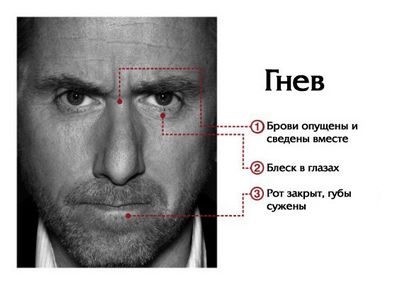 язык язык