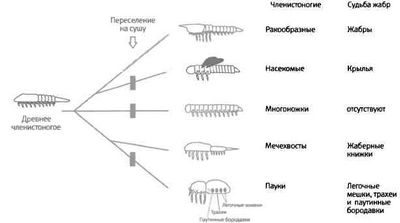 древний древний