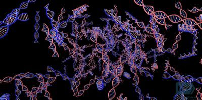 crispr-cas9 crispr-cas9