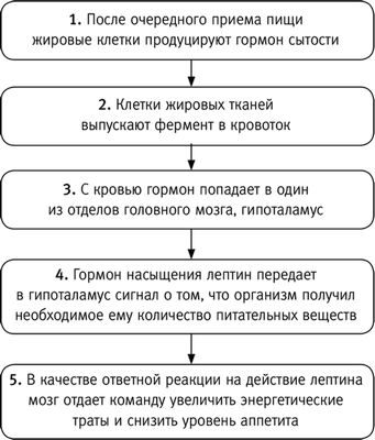 фрукт фрукт