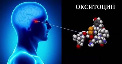 окситоцин окситоцин