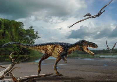 sarmientosaurus sarmientosaurus