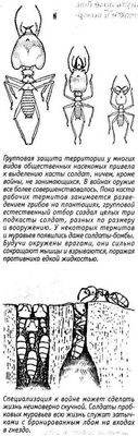 есть есть
