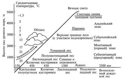 остров остров