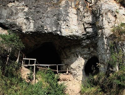 denisovan