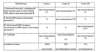 ююба ююба